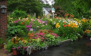 Ornamental Grasses in Pots
Garden Design
Calimesa, CA