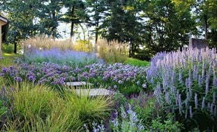 Allium Path
Ornamental Grasses in Pots
Donald Pell Landscape Design
Phoenixville, PA