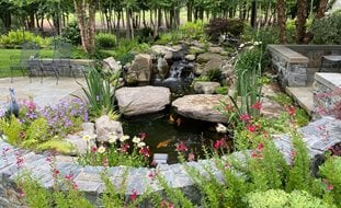 Garden Pond
Ornamental Grasses in Pots
Morty Bachar / Patty Storms
Lewes, DE