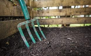 Pitchfork In Compost, Composting, Compost Bin
Ornamental Grasses in Pots
Shutterstock.com
New York, NY
