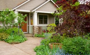 Front Entryway With Plantings
Garden Design
Calimesa, CA