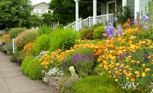 Sloped Front Yard, Hillside Landscaping
Garden Design
Calimesa, CA