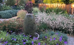 Low-Water Garden
Garden Design
Calimesa, CA