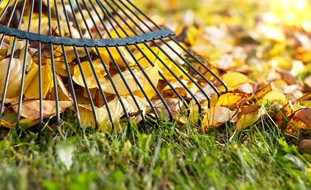 Leaves, Rake, Fall
A Rustic Perennial Paradise
Shutterstock.com
New York, NY