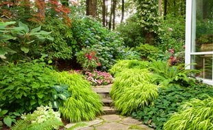 Layered Shade Garden, Shade Garden With Impatiens
Garden Design
Calimesa, CA