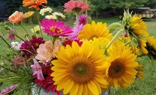 Fresh Cut Flowers, Garden Flowers
Shutterstock.com
New York, NY