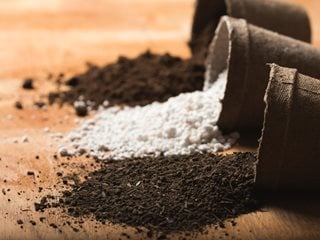 Ingredients For Potting Soil, Peat And Perlite  Shutterstock.com  New York, NY