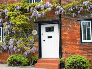 Wisteria, bakstenen huis