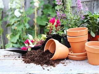 Potting Soil And Pots, Potting Plants  Shutterstock.com  New York, NY