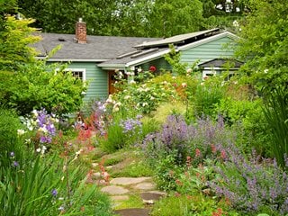 Native Meadow Garden
Garden Design
Calimesa, CA
