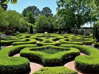 How to Grow Beautiful Boxwood Shrubs | Garden Design