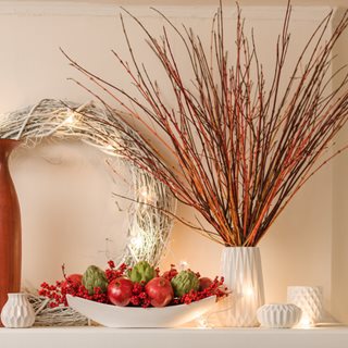 Dogwood Stems In Vase
Proven Winners
Sycamore, IL