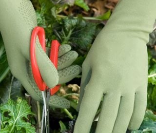 Foxgloves Garden Gloves, Green Gardening Gloves
Garden Design
Calimesa, CA