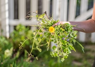 How To Get Rid Of Weeds Naturally Garden Design