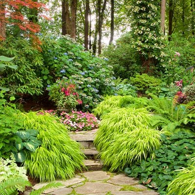 shade garden designs