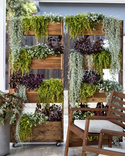 vertical vegetable garden design