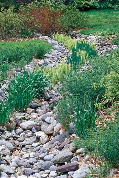 Gardening For Rainwater: Creating a Rain Garden