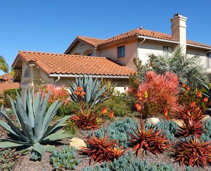Desert Landscaping On A Slope
Shutterstock.com
New York, NY