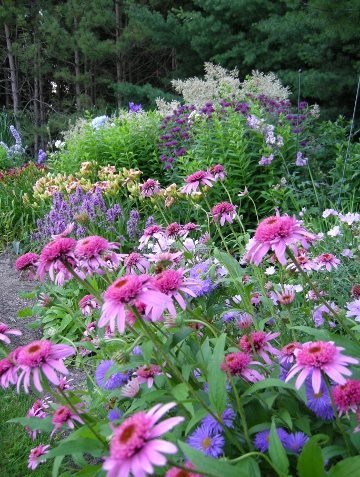 Small Garden Pictures
Plant Paradise Country Gardens
Caledon, ON