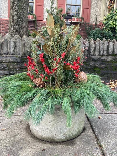 Winter Container Plantings, Holidays At Home