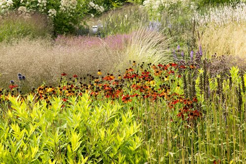 November Gardening Checklist for Pacific Northwest | Garden Design