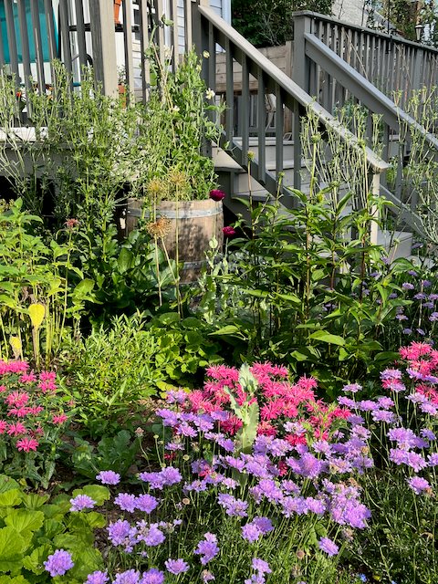 Bee Balm And Garden Planting
Garden Design
Calimesa, CA