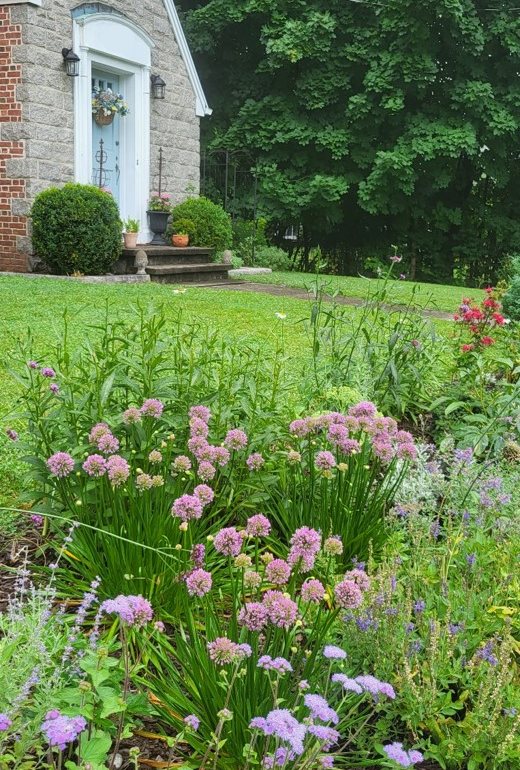 Connecticut mixed garden border