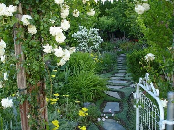 An Ever-Changing Therapy Garden - Gallery | Garden Design