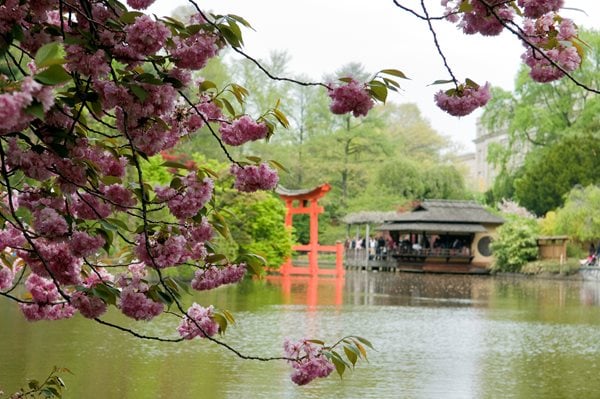 Brooklyn Botanic Garden's 100th Anniversary - Gallery | Garden Design