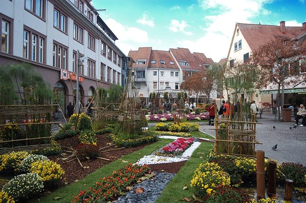 Chrysanthema Lahr Festival - Gallery | Garden Design