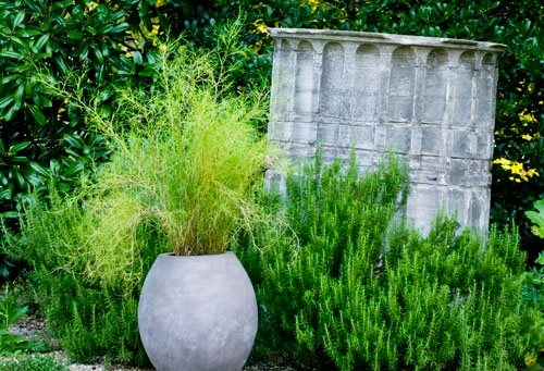 Container Grasses at Cheekwood - Gallery | Garden Design