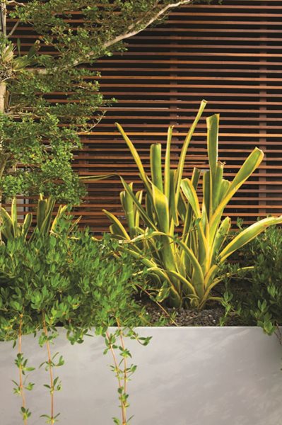 Jungles' Miami Rooftop Garden - Gallery | Garden Design