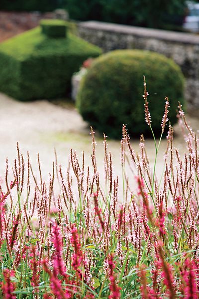 Sarah Price's Gardens - Gallery | Garden Design on Sarah Price Garden Designer
 id=38673