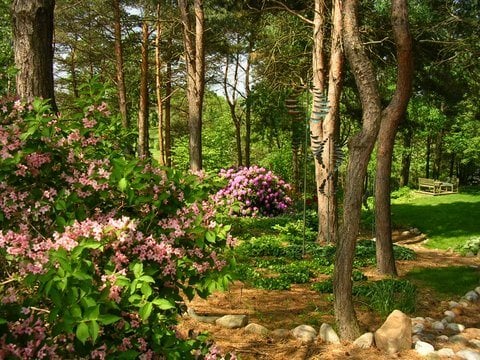 michigan wooded garden garden design