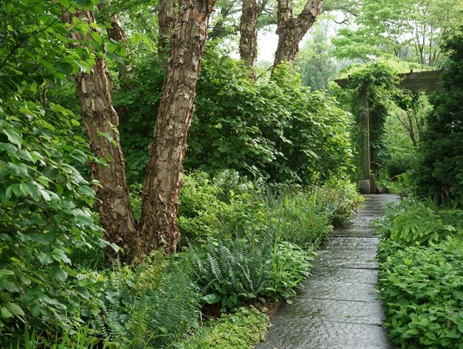 Sustainable Strolling Garden | Garden Design