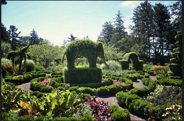 Oldest Topiary Garden in the US