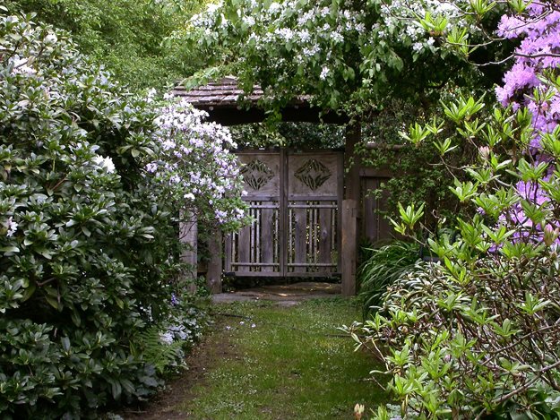 Emperors, Gate
Robin Hopper (Homeowner)
Metchosin, British Columbia