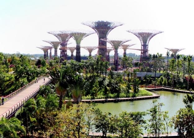 Gardens By The Bay Garden Design