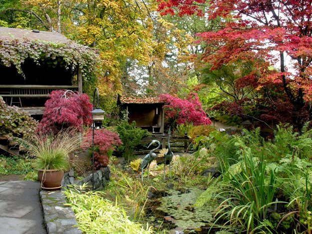 Inner Garden Autumn
Robin Hopper (Homeowner)
Metchosin, British Columbia