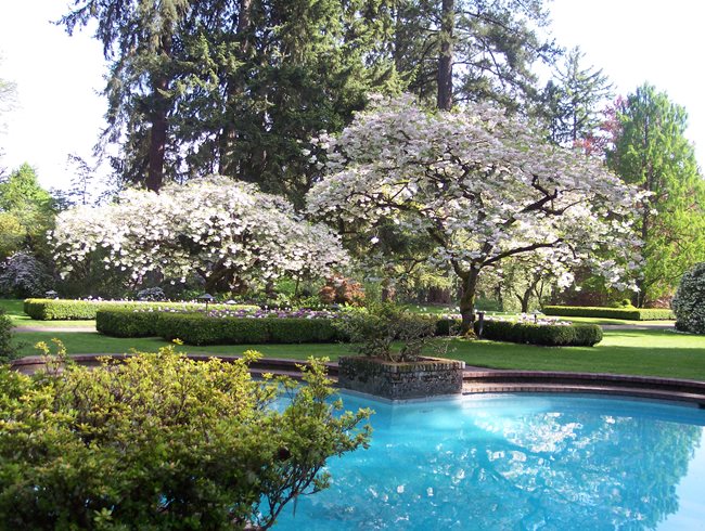 Pool  Garden Design  Calimesa, CA