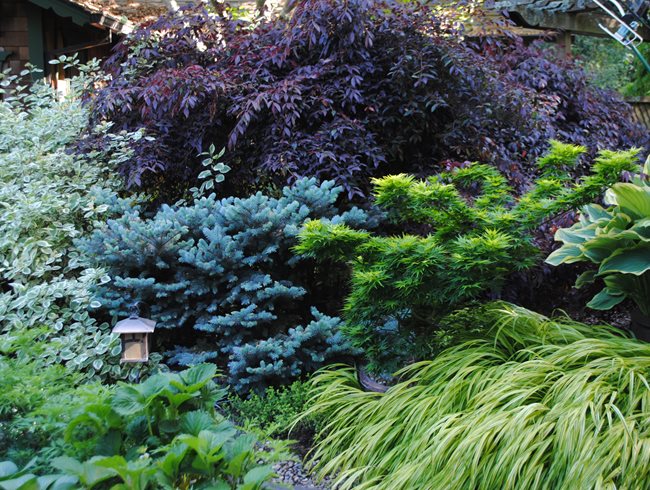 Tanner Garden, Foliage Plants
Garden Design
Calimesa, CA