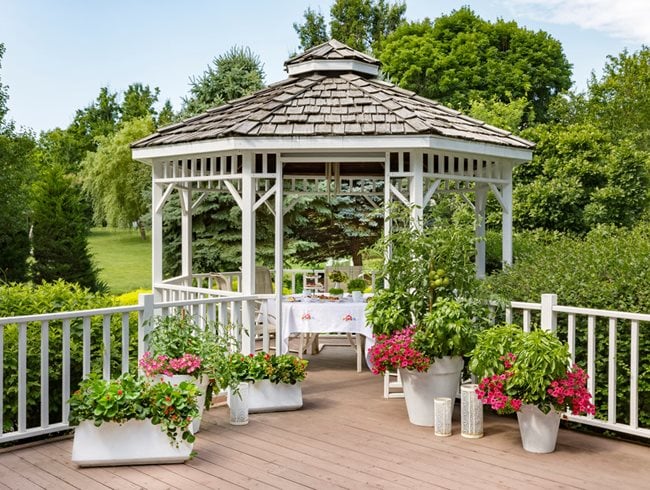 Garden Gazebo, Gazebo With Potted Plants
Proven Winners
Sycamore, IL