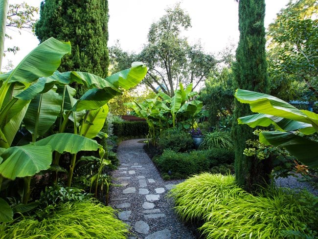 Tropical Garden Ideas For A Resort Like Landscape Garden Design