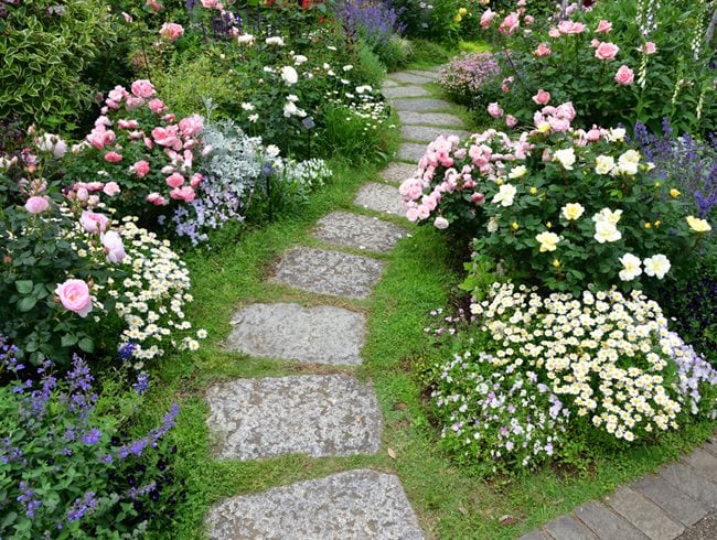 backyard rose garden plans