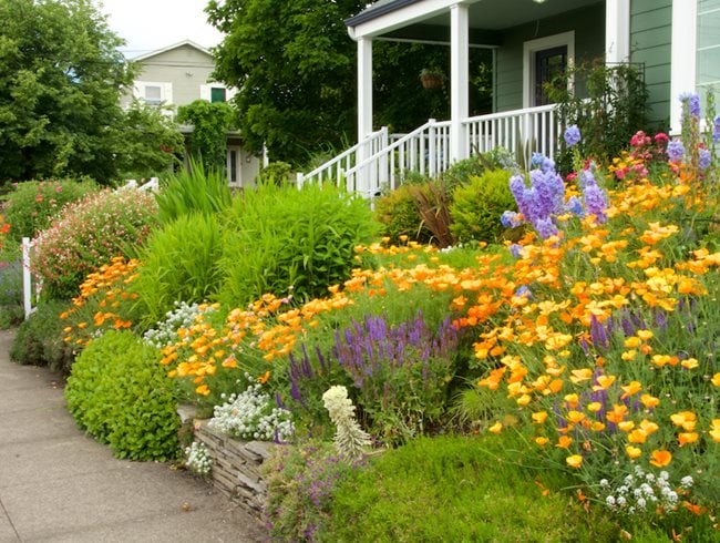 https://www.gardendesign.com/pictures/images/650x490Exact_48x0/site_3/sloped-front-yard-hillside-landscaping-garden-design_16768.jpg