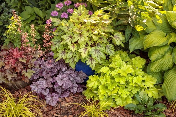 12 Flower Gardening Tips for Designing a Beautiful Landscape