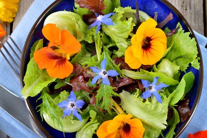 Edible Flowers and Herb Blooms