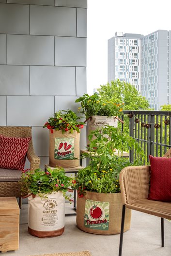 https://www.gardendesign.com/pictures/images/675x529Max/site_3/vegetables-in-containers-balcony-vegetable-garden-proven-winners_15810.jpg