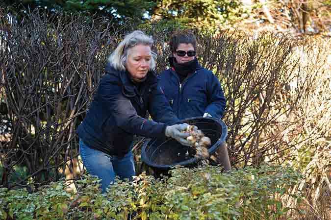 The Craft of Interplanting with Jacqueline van der Kloet, Slide Show