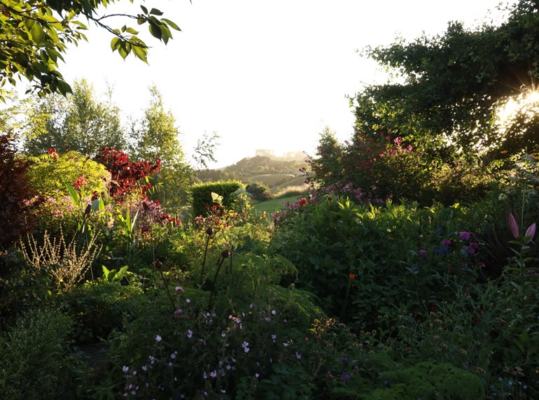 Borrowed view of hills from garden